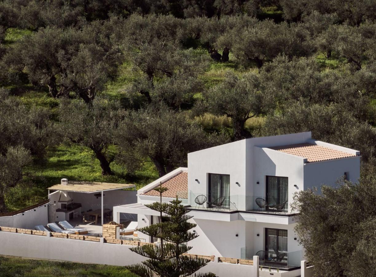 Estelle Villa, A Flamboyant Escape With Pool, By Thinkvilla Romírion Buitenkant foto